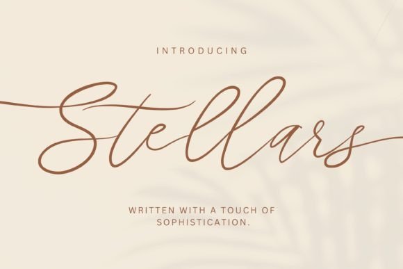 Stellars: The Script Font That Sharpens Campaign Visuals